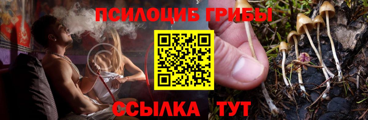 Чусовой  Галлюциногенные грибы ЛСД  Вход с VPN 